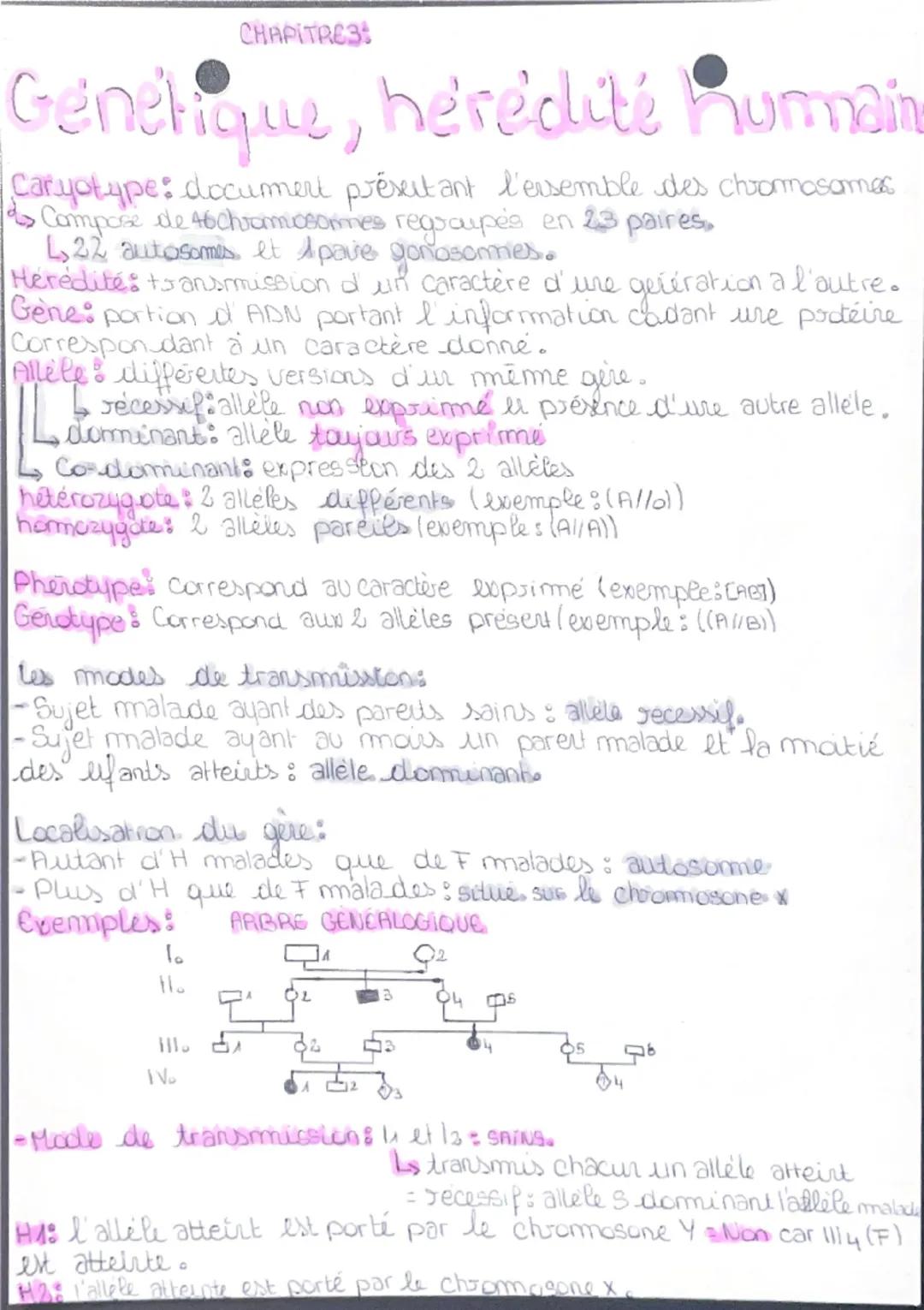 CHAPITRES
Genetique, hérédité humaine
Caryotype: document presentant l'ensemble des chromosomes
Compose de 46 chromosomes regscupés en 23 pa