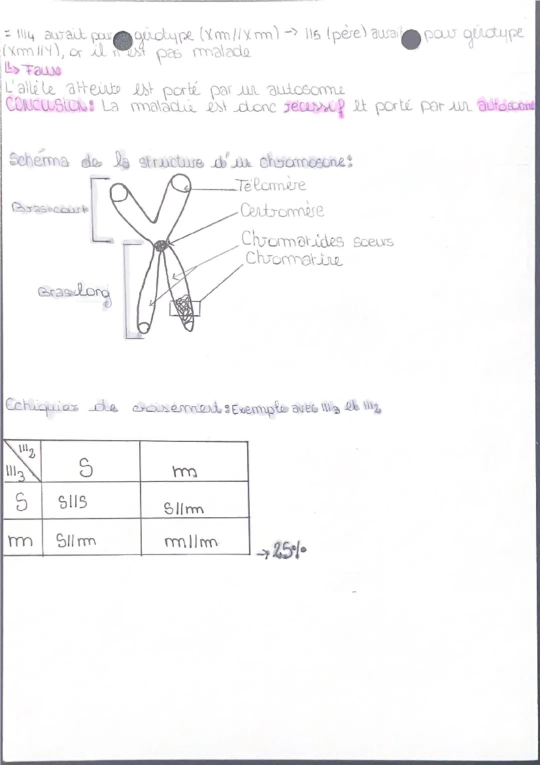 CHAPITRES
Genetique, hérédité humaine
Caryotype: document presentant l'ensemble des chromosomes
Compose de 46 chromosomes regscupés en 23 pa