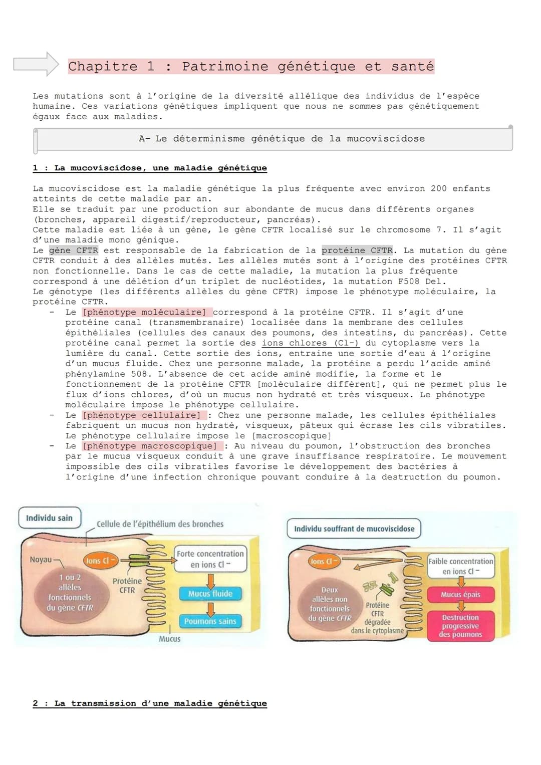 Chapitre 1 : Patrimoine génétique et santé
Les mutations sont à l'origine de la diversité allélique des individus de l'espèce
humaine. Ces v