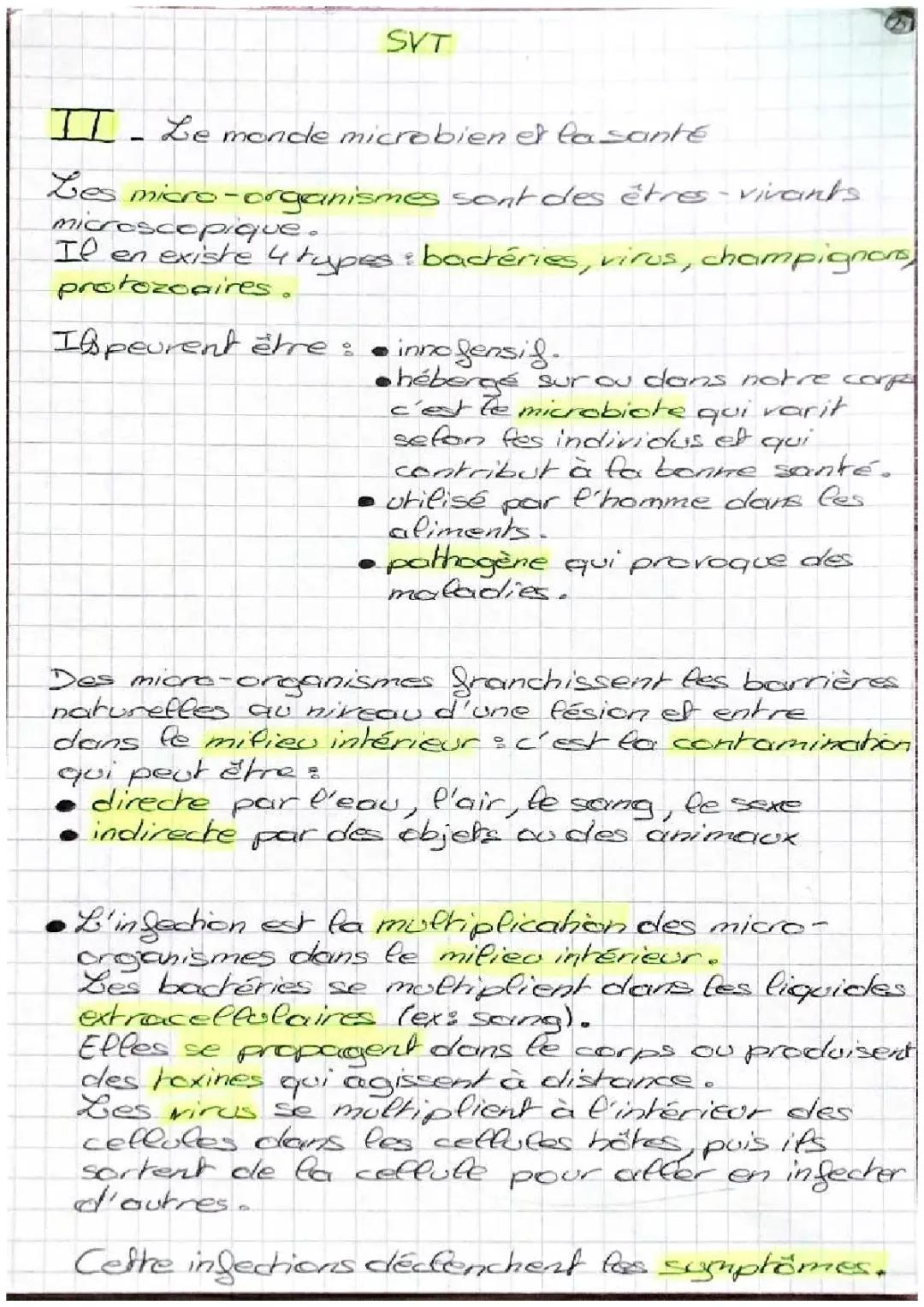 Le Système Immunitaire : Cours Résumé et Schéma Sympa pour les 3èmes