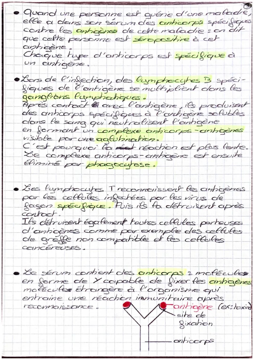 SVT
II- Le monde microbien et la santé
Les micro-organismes sont des êtres-vivants
microscopique.
Il en existe 4 types : bactéries, virus, c