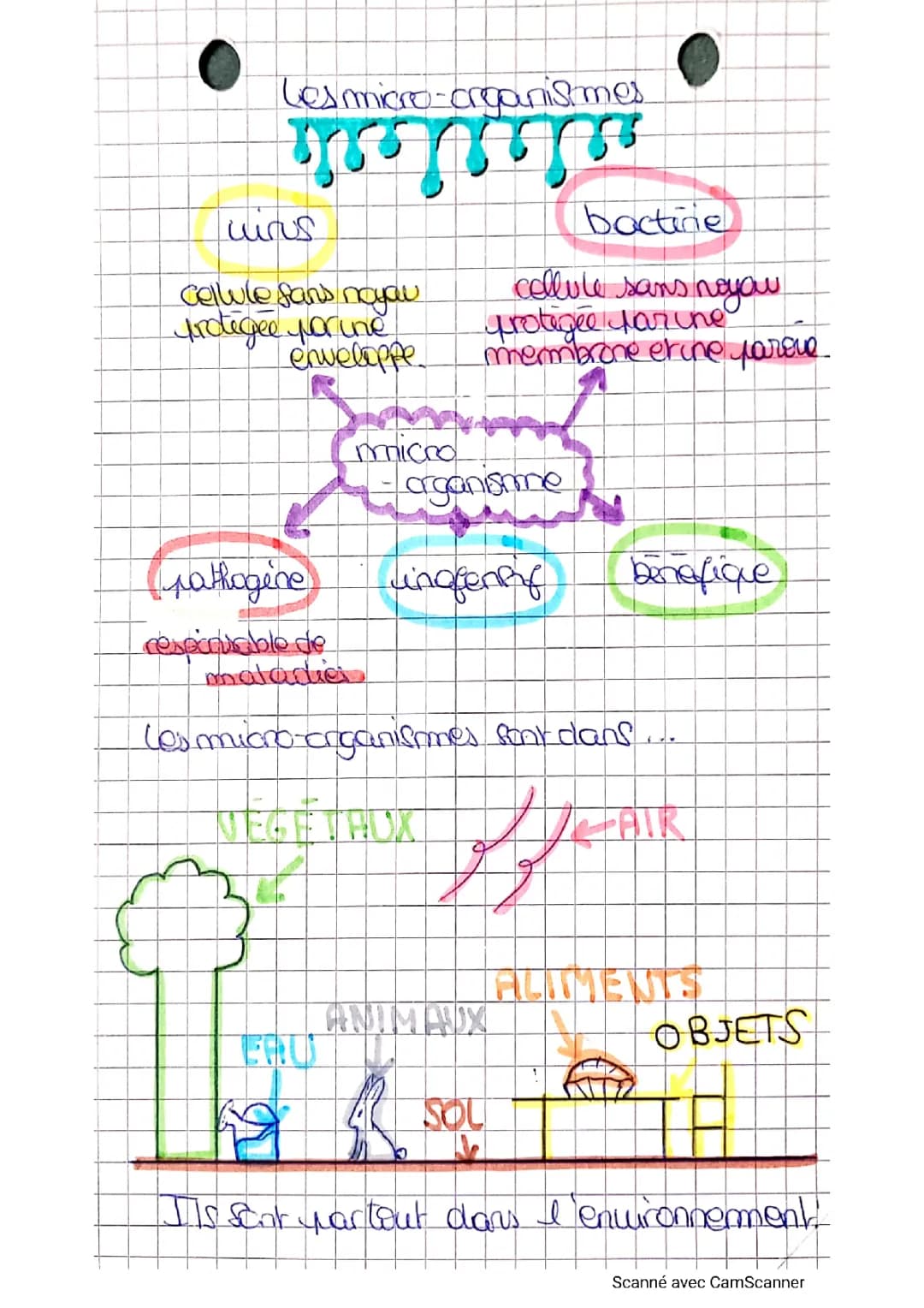 Les micros organismes