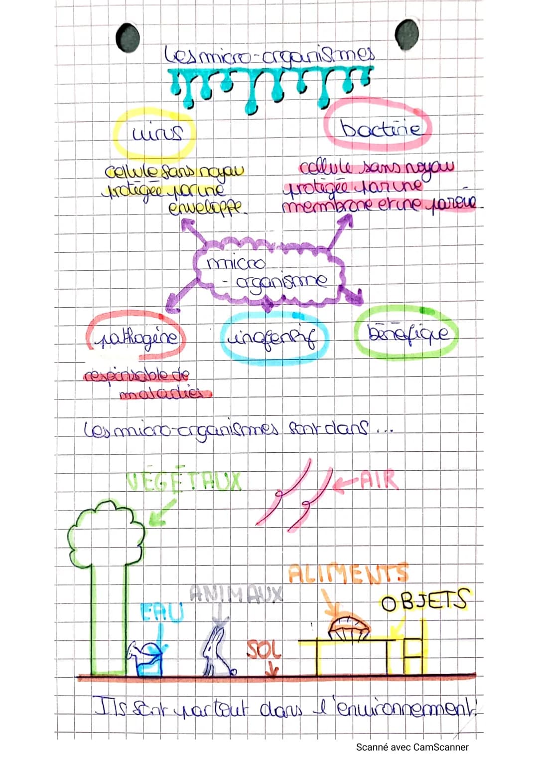 Les micro-creanismes
mnin
clirus
Cellule fans navau
protégée porine
enveloppe
(pathagine)
respcriable de
maladia
micho
bactine
cellule sans 
