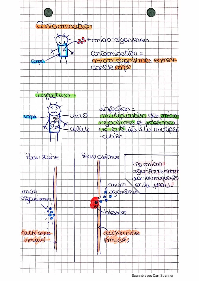 Les micro-creanismes
mnin
clirus
Cellule fans navau
protégée porine
enveloppe
(pathagine)
respcriable de
maladia
micho
bactine
cellule sans 