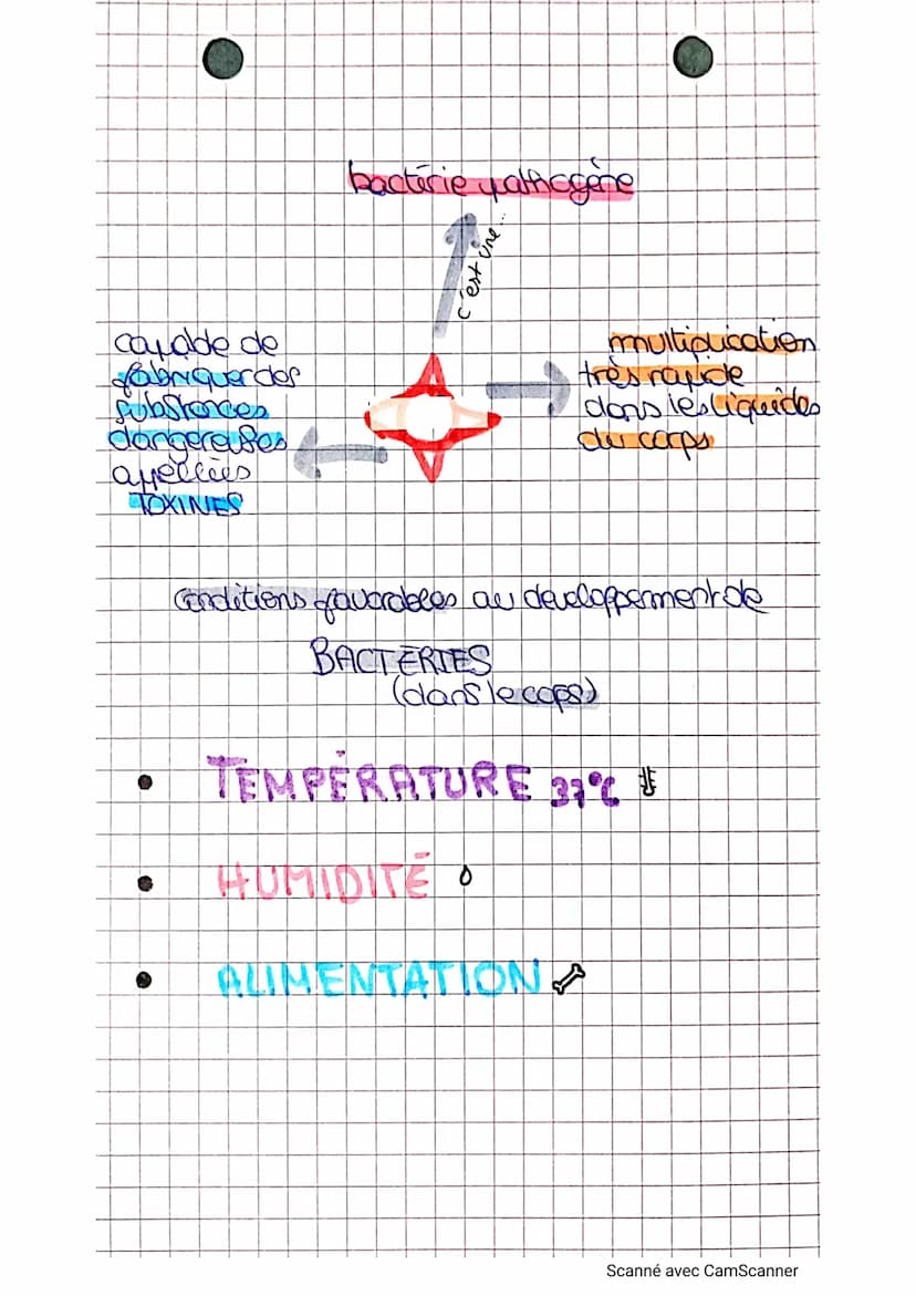 Les micro-creanismes
mnin
clirus
Cellule fans navau
protégée porine
enveloppe
(pathagine)
respcriable de
maladia
micho
bactine
cellule sans 