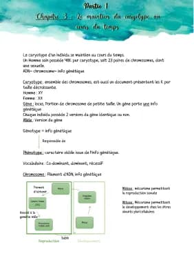 Know Le maintien du caryotype au cours du temps thumbnail