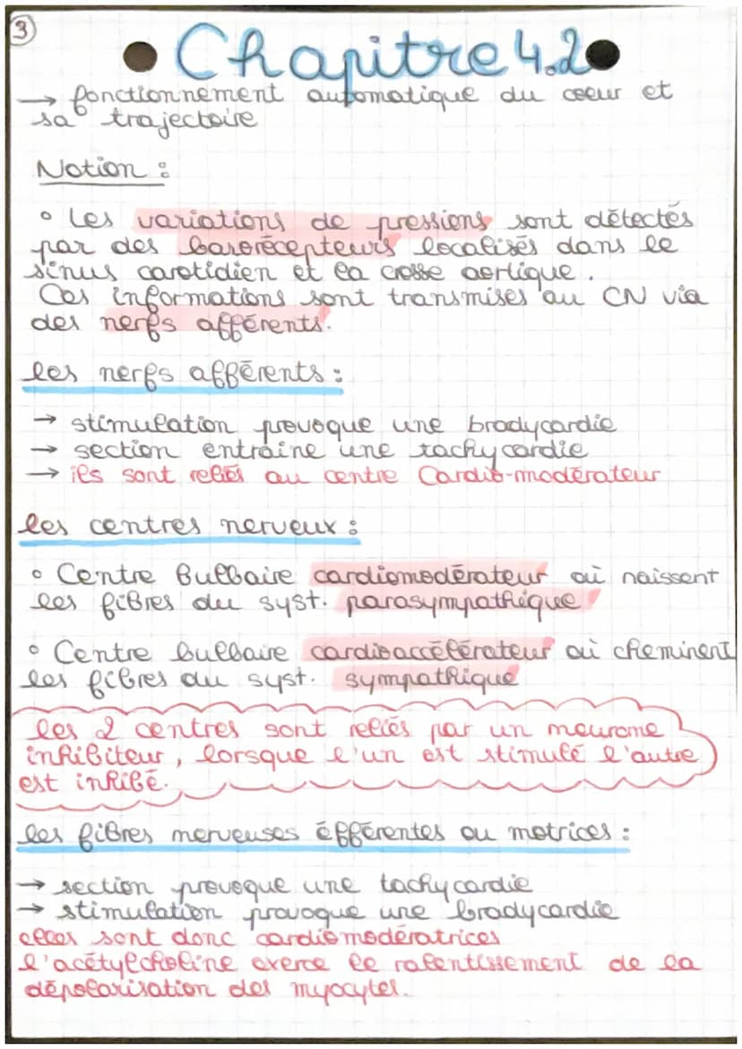Chapitre 4.2
→ fonctionnement automatique du coeur et sa
régulation
Arc réflexe: trajet suivi par l'influx
merveux de la stimulation à la ré