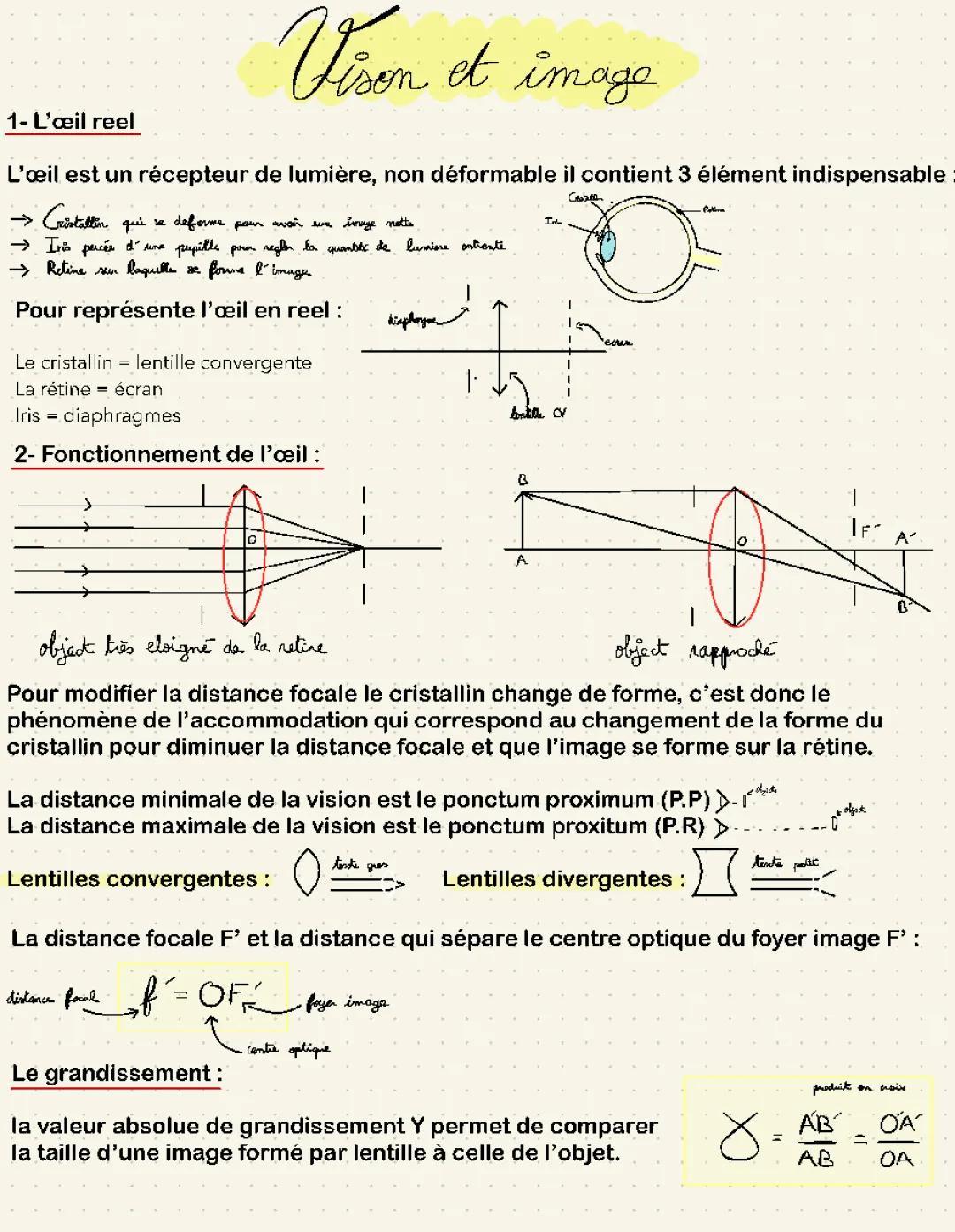 Schéma et Fonctionnement de l'Œil - Les Parties et Lentilles PDF