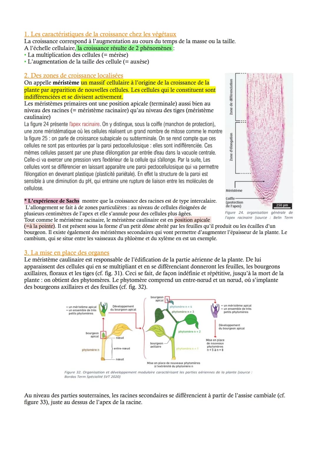 CHAP 1 - L'organisation fonctionelle des plantes à fleurs
Les végétaux montrent une grande diversité. L'appareil végétatif est constitué de 
