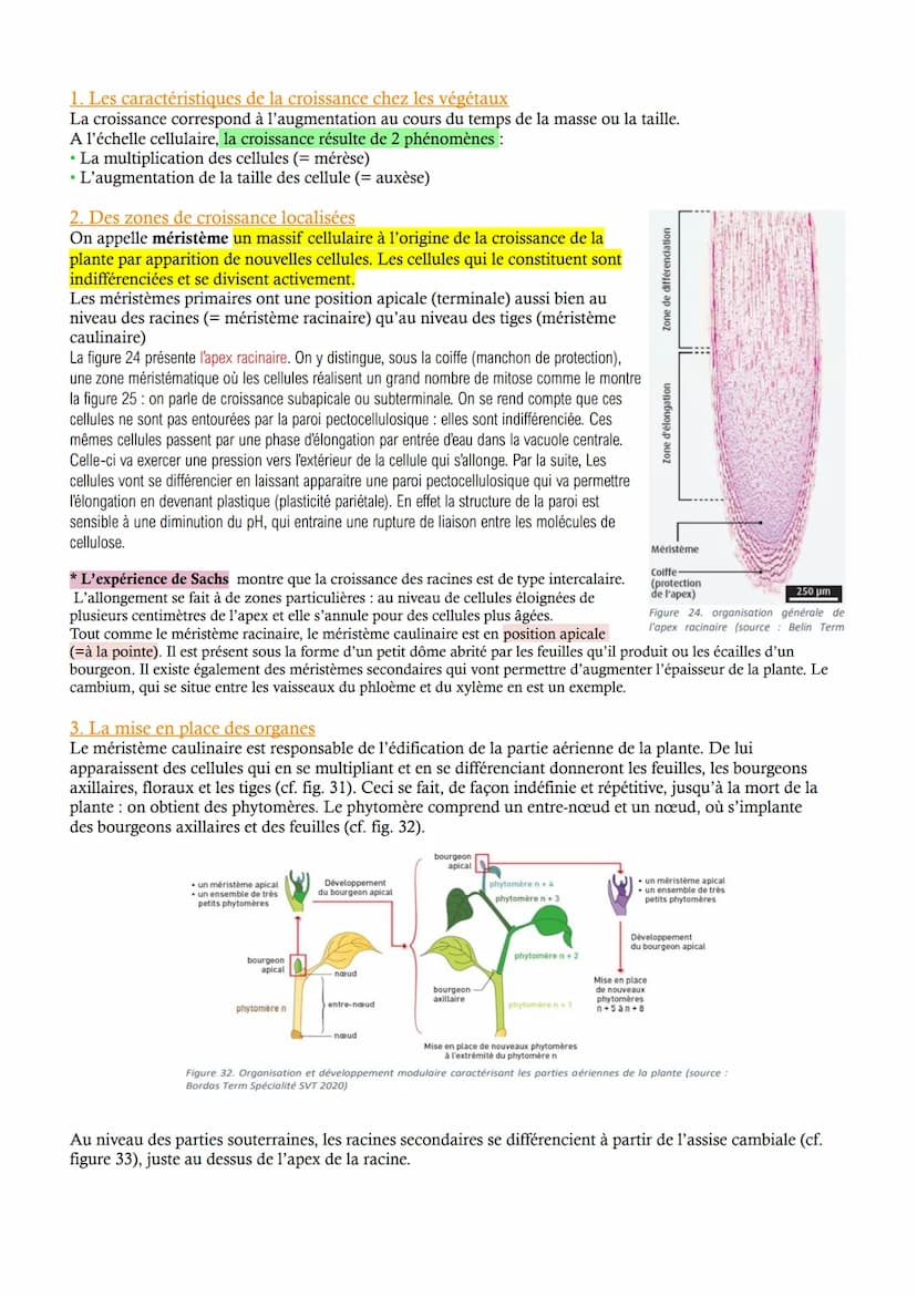 CHAP 1 - L'organisation fonctionelle des plantes à fleurs
Les végétaux montrent une grande diversité. L'appareil végétatif est constitué de 