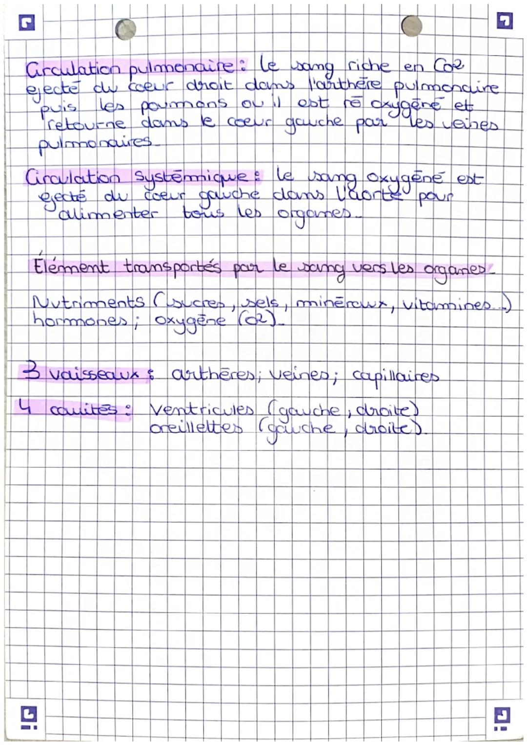 biologie

Grculation sanguine

Arthères
pulmonaires

Veines
pulmonaires

Circulation
pulmonaire

L'aorte

Artheres

Veines
Coeur

Circulatio