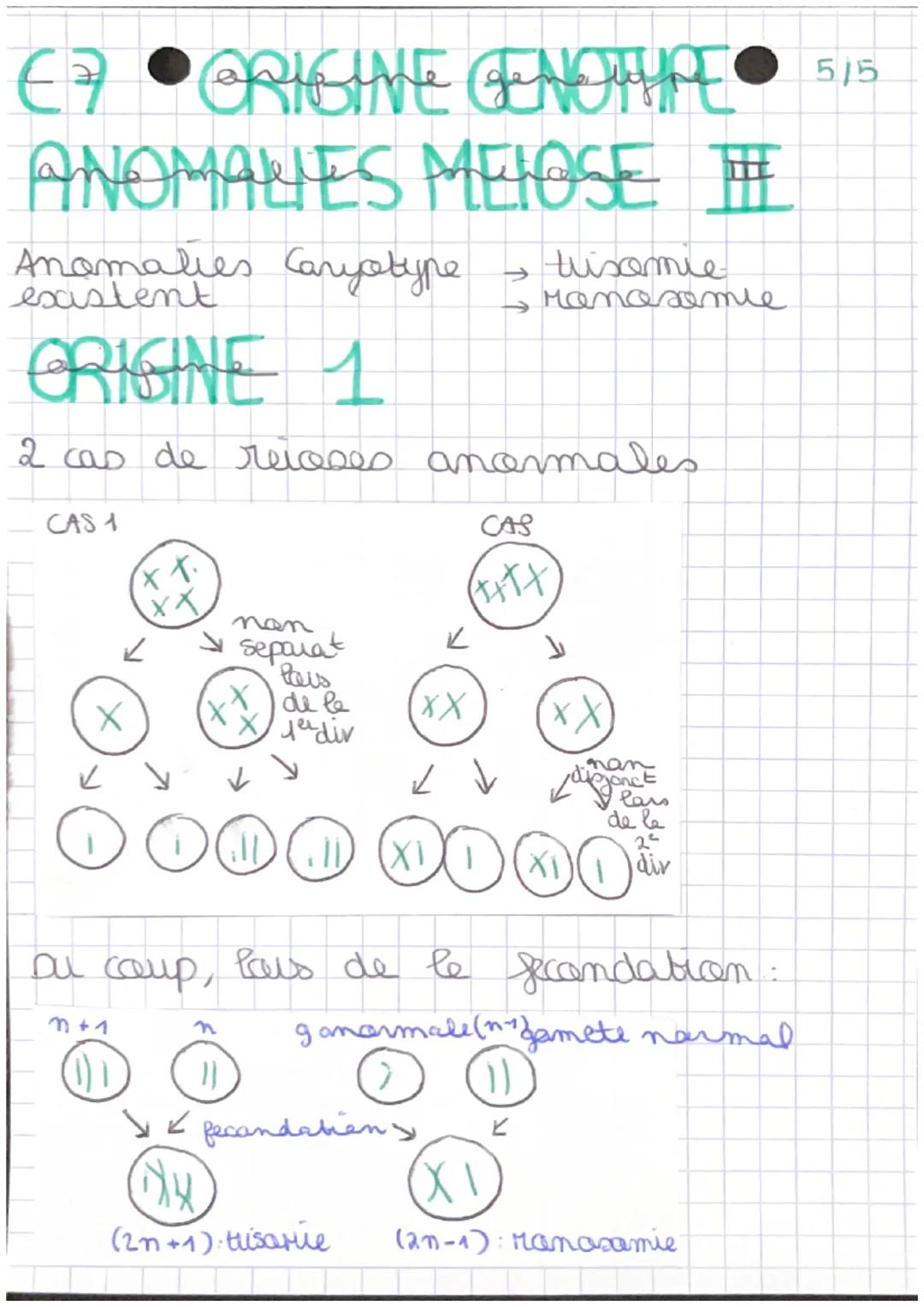 €7 •CRIGINE GENOTIPE
ANOMALIES MEIOSE ##
Anomalies Caryotype
existent
ORIGINE 1
2 cas de reioses anormales
CAS 1
XX.
(X
X
ку
01
→ separat
de
