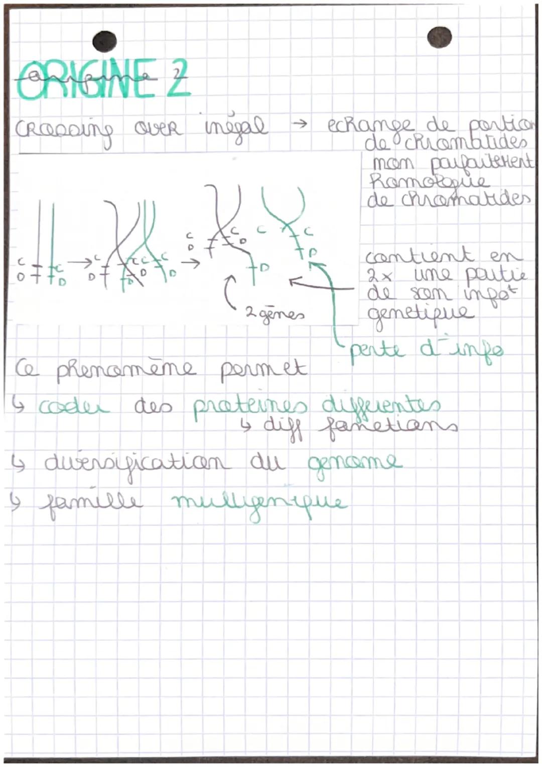 €7 •CRIGINE GENOTIPE
ANOMALIES MEIOSE ##
Anomalies Caryotype
existent
ORIGINE 1
2 cas de reioses anormales
CAS 1
XX.
(X
X
ку
01
→ separat
de
