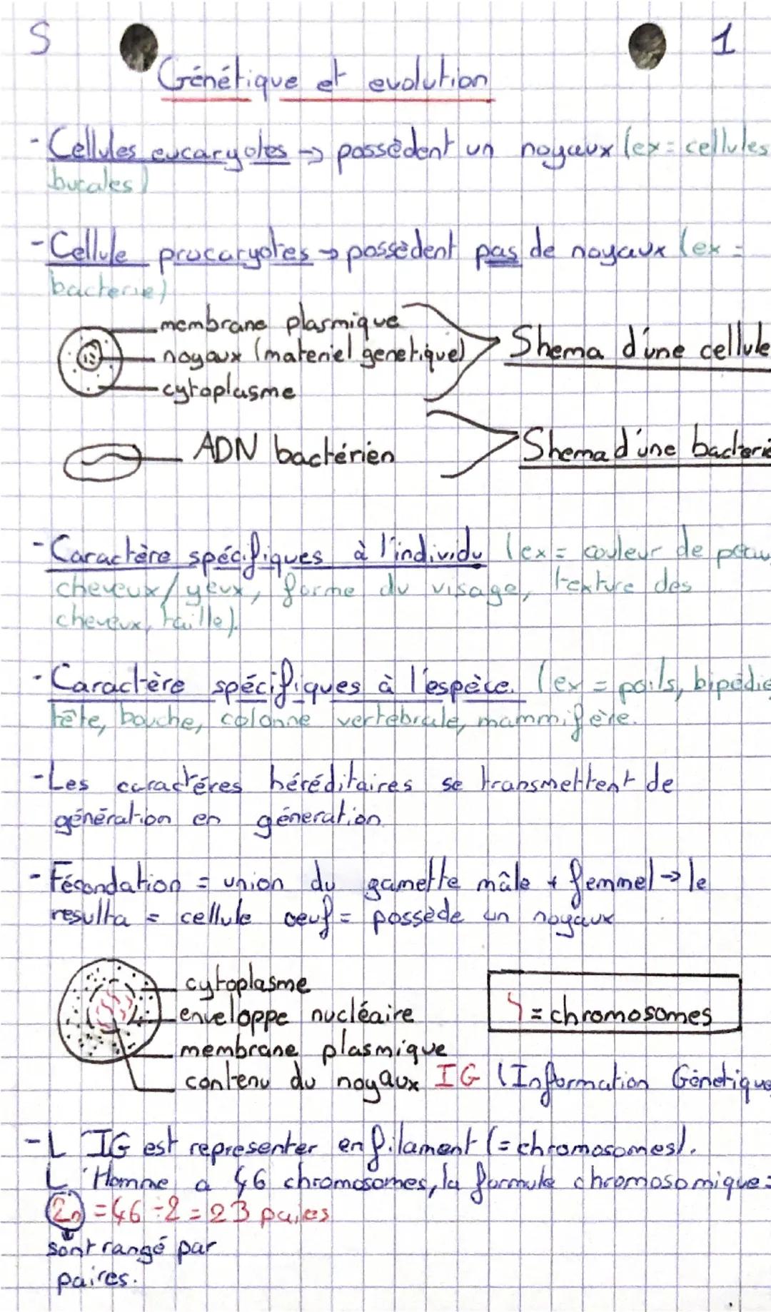 Génétique et évolution