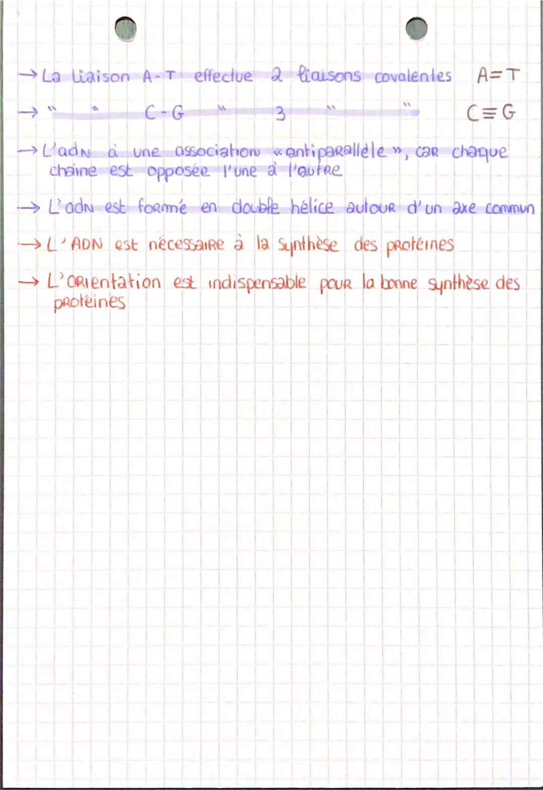 ACTIVITE 1 STRUCT. ET LOCALISATION DE L'ADN
BIO 3-2
→Le génome est l'ensemble de l'information genétique
contenu dans chacune des cellules d
