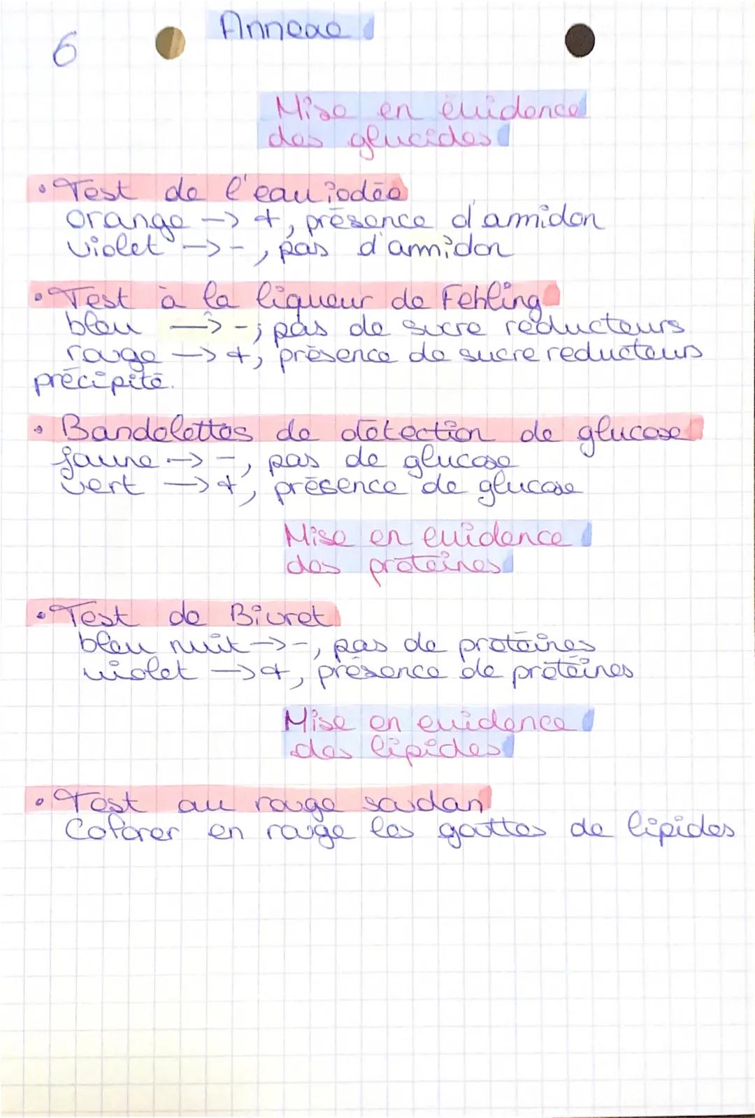 Annexe
Mise en evidence.
des glucides!
• Test de l'eau iodée
orange -> +, présence d'amidon
Violet ->- pas d'amidon
• Test à la liqueur de F