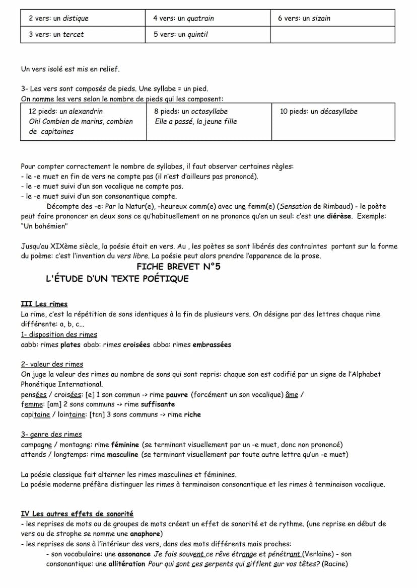 Les temps sont organisés chronologiquement (avant, pendant, après) autour d'un temps de référence.
LES TEMPS ORGANISÉS AUTOUR DU PRÉSENT: (A