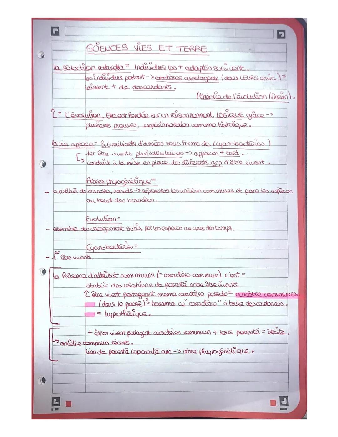 SCIENCES VIES ET TERRE

la solation naturelle = Individers 100+ adaptés survivent.
6s individues partant -> canderes avantageuse (dans LEURS