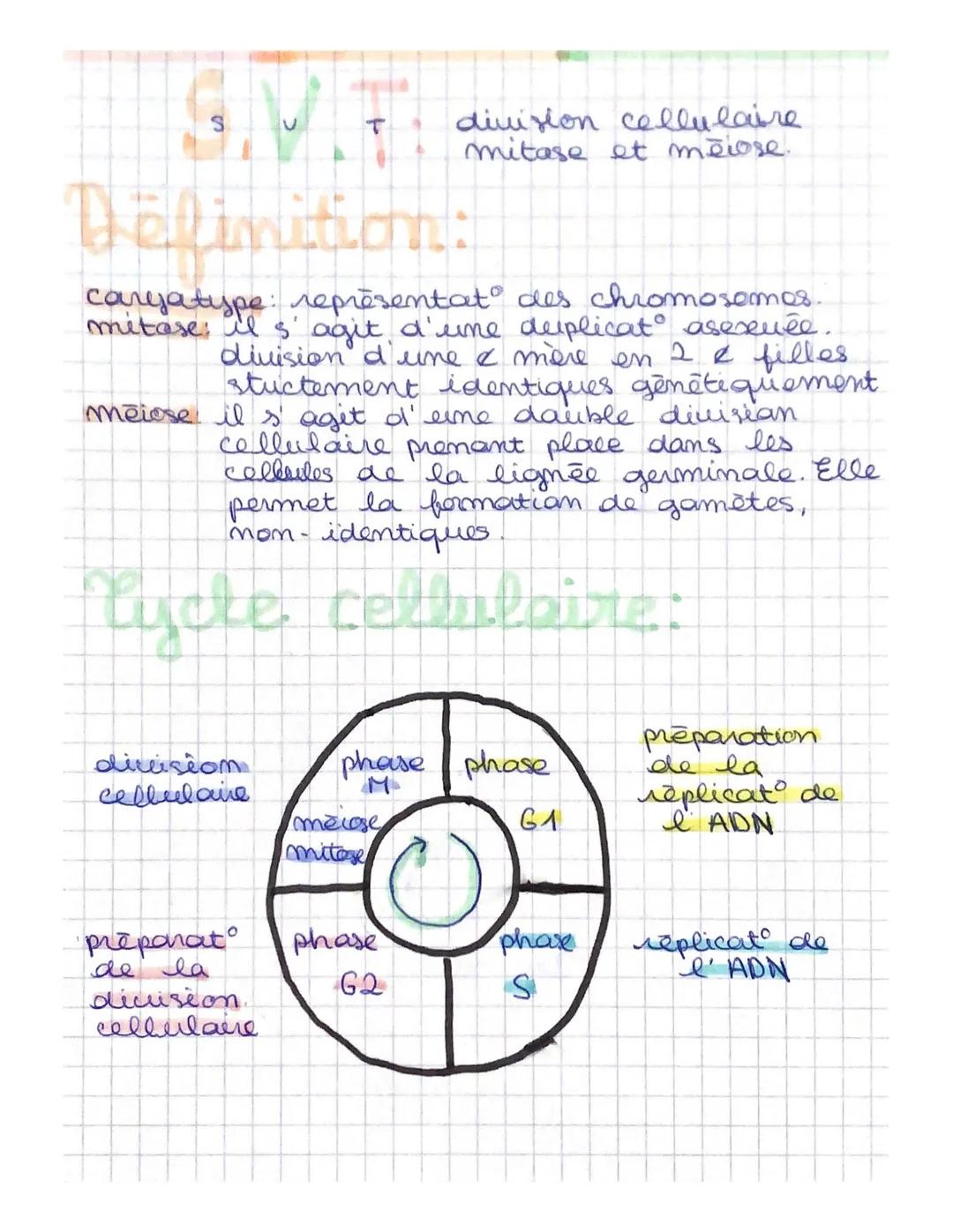 SIMAT
Definition:
caryatype: représentat des chromosomes.
mitase; il s'agit d'une duplicat asexuée.
division d'une & mère en 2 & filles
stuc