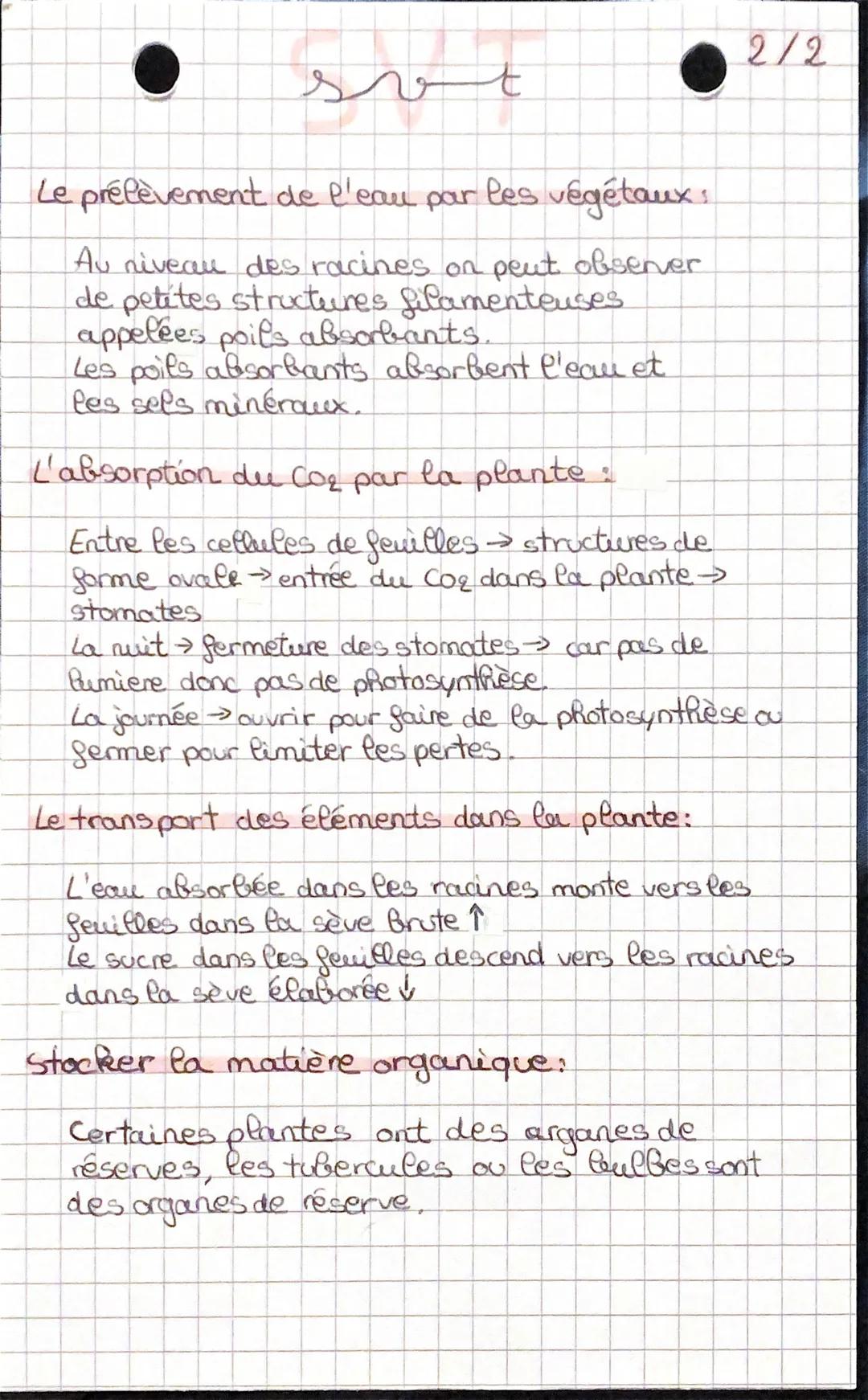 1/2

svt

Les besoins des plantes:
- minéraux
- eau
- dioxyde de carbone (CO2)
- lumière

La croissance des végétaux:

La culture la plus ex