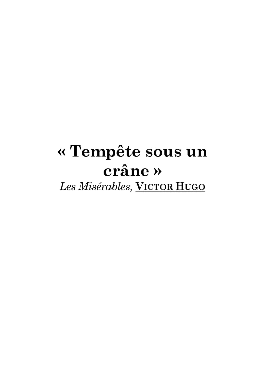 Analyse linéaire, « Tempête sous un crâne », Les Misérables