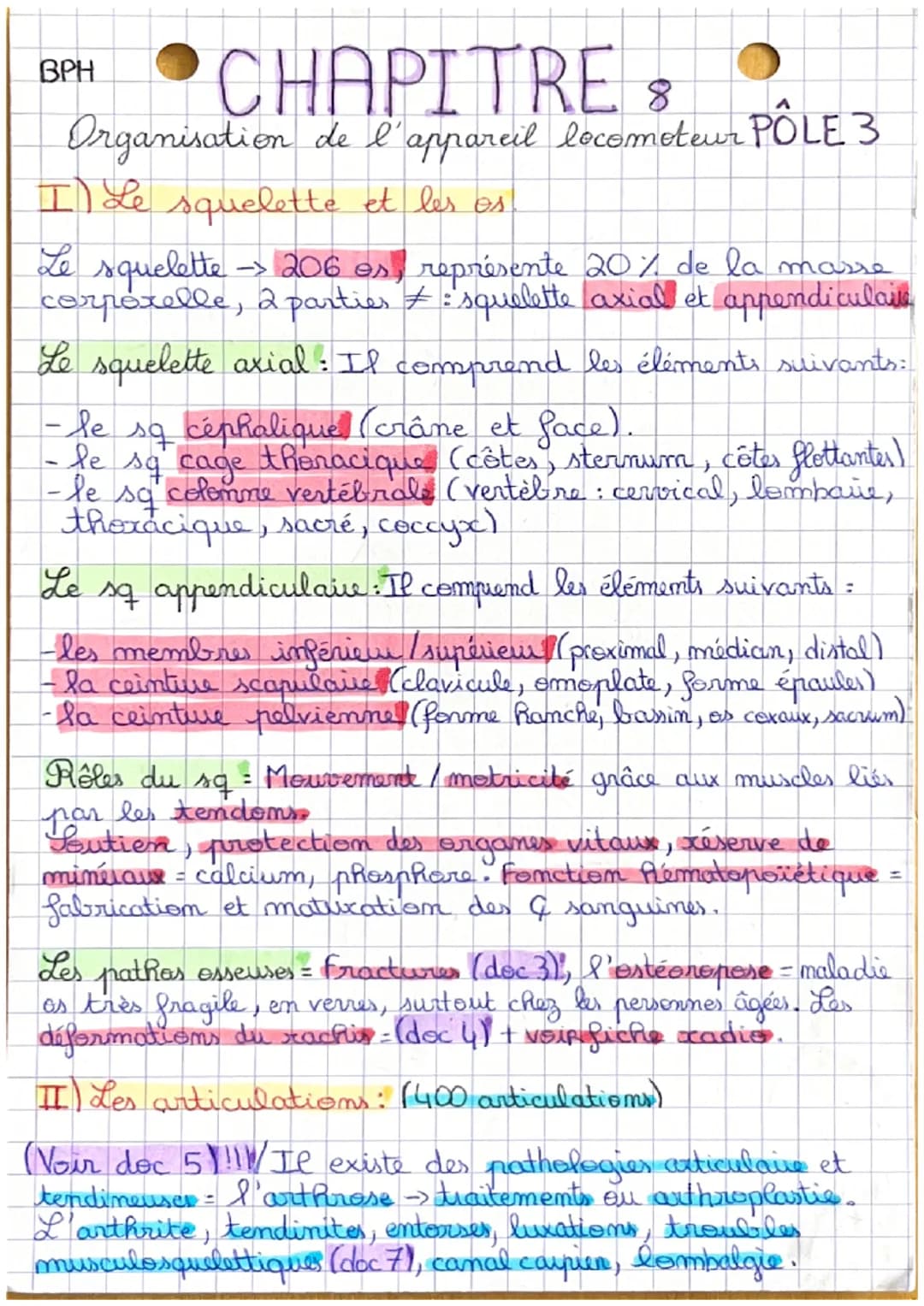 CHAPITRE 8
Organisation de l'appareil locomoteur PÔLE 3
I) Le squelette et les os
Le squelette -> 206 os, représente 20% de la marre
corpore