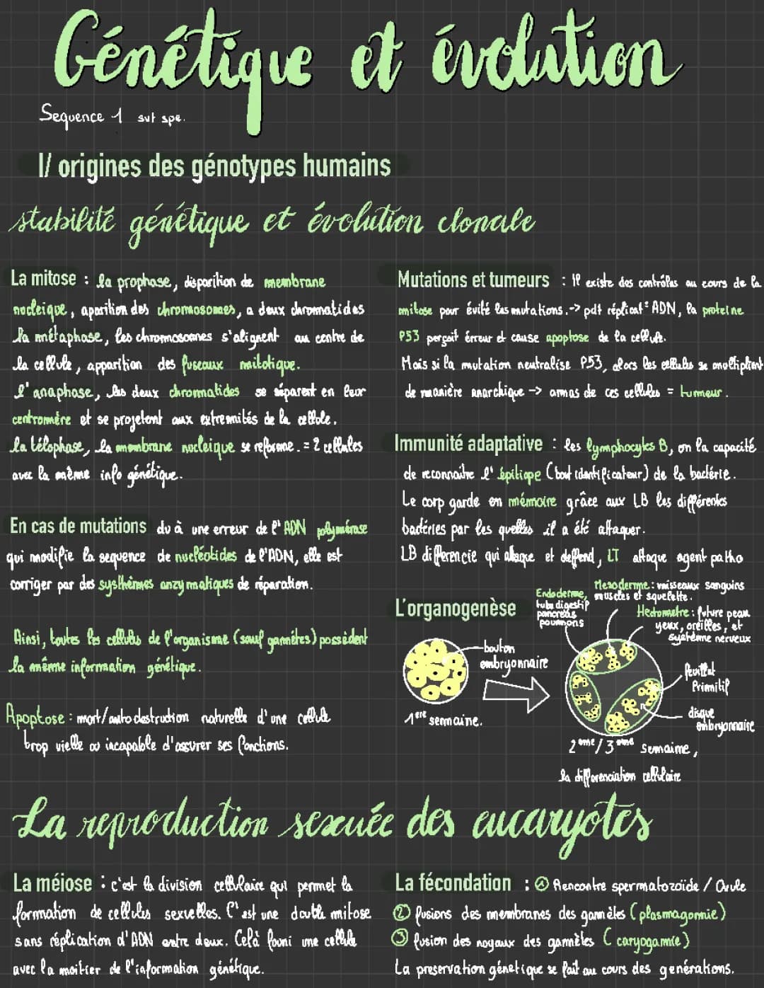 génétique et evolution