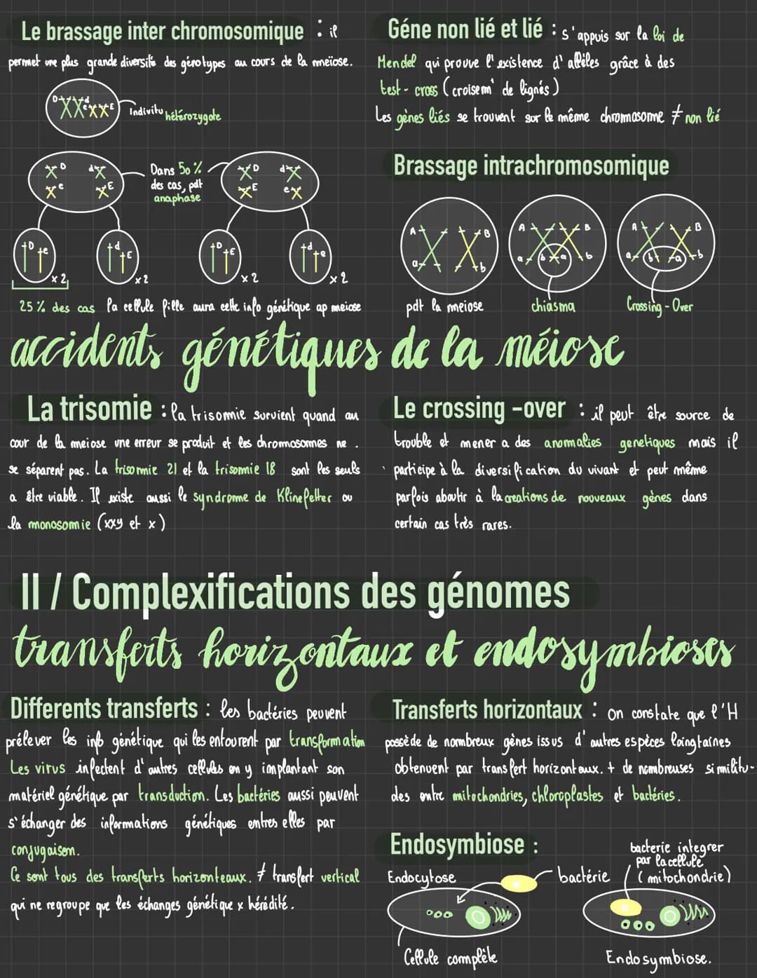 Génétique et évolution
1/ origines des génotypes humains
stabilité génétique et évolution clonale
La mitose: la prophase, disparition de mem