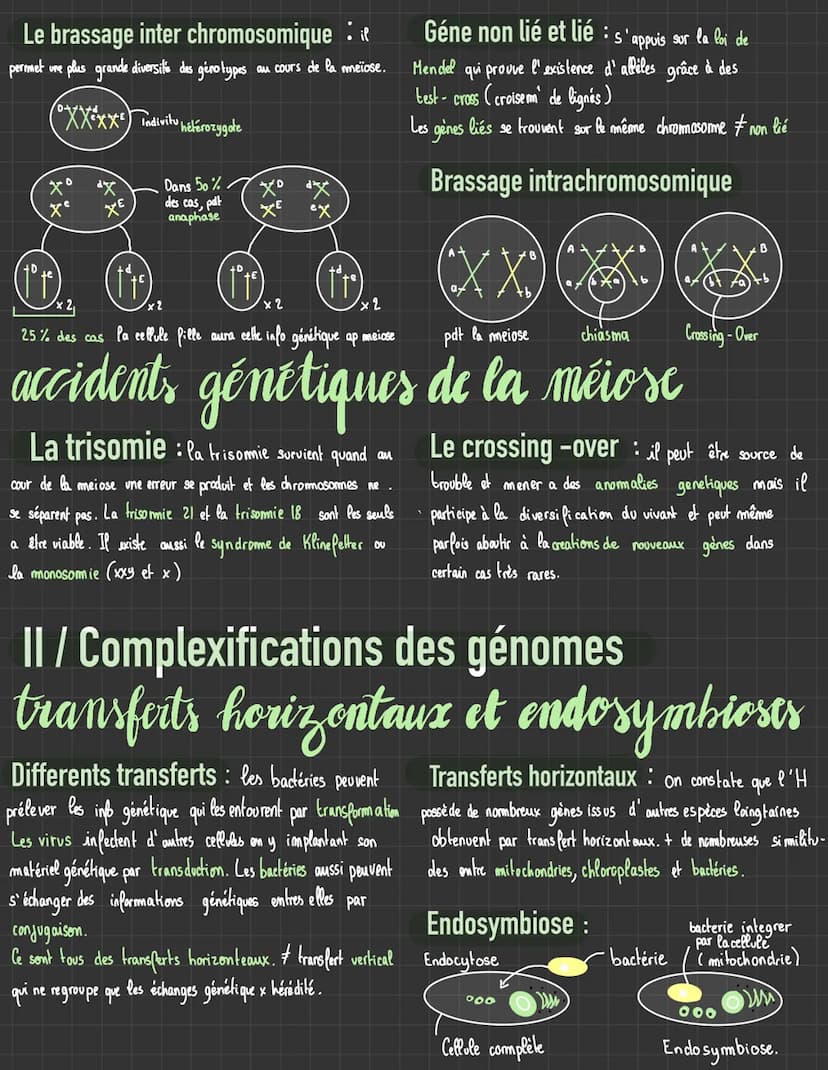 Génétique et évolution
1/ origines des génotypes humains
stabilité génétique et évolution clonale
La mitose: la prophase, disparition de mem