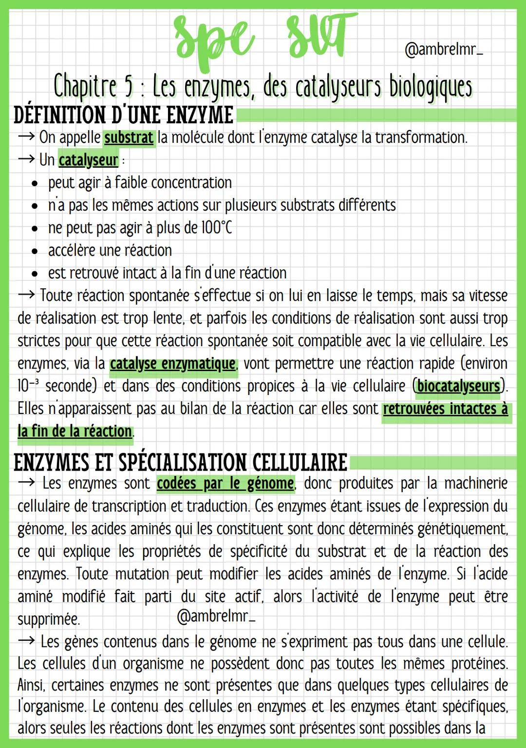 spe SUT
@ambrelmr_
Chapitre 5: Les enzymes, des catalyseurs biologiques
DÉFINITION D'UNE ENZYME
→ On appelle substrat la molécule dont l'enz