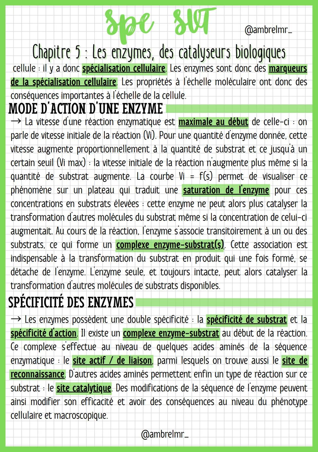 spe SUT
@ambrelmr_
Chapitre 5: Les enzymes, des catalyseurs biologiques
DÉFINITION D'UNE ENZYME
→ On appelle substrat la molécule dont l'enz