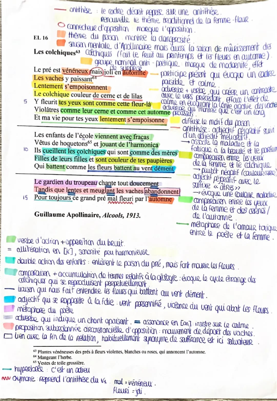 EL16
INTRODUCTION(1 min 30 max.)
Carte d'identité de l'œuvre :
a) Auteur: Guillaume Apollinaire est un poète français du début du XXe siècle