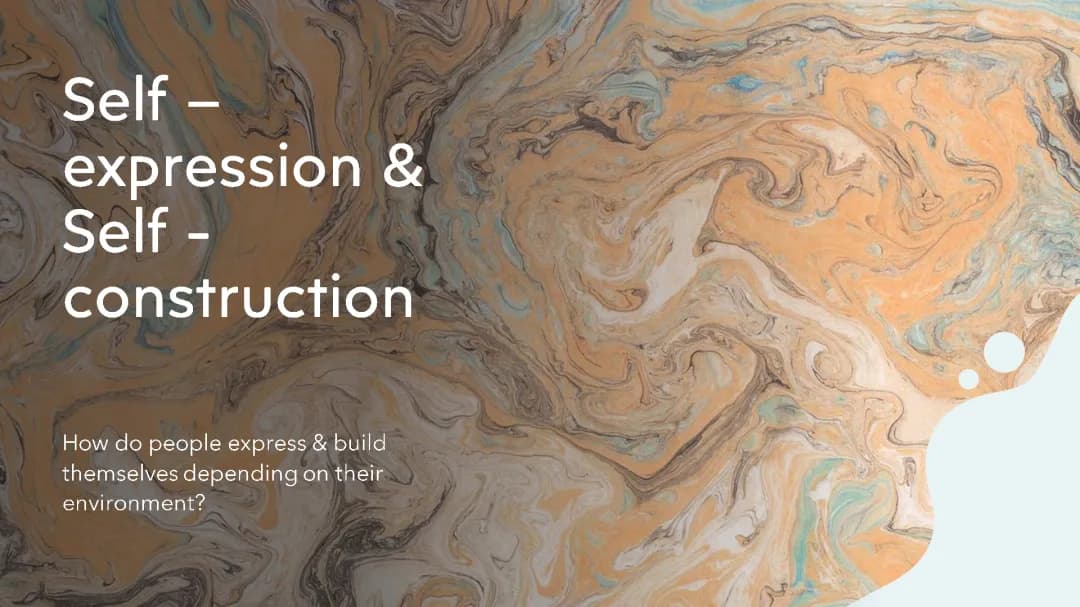 Cool Portfolio LLCE Examples for Oral Exam and Projects