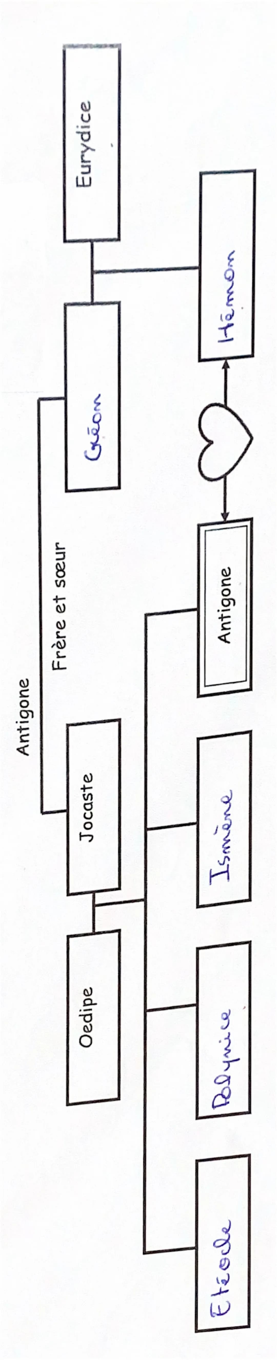 Antigone
Antigone & Jeune fille (20 ans) petite et maigue
qui n'est
pas une
femme belle et qui
a un
ave
grave.
• Rebelle et révoltée
et renf