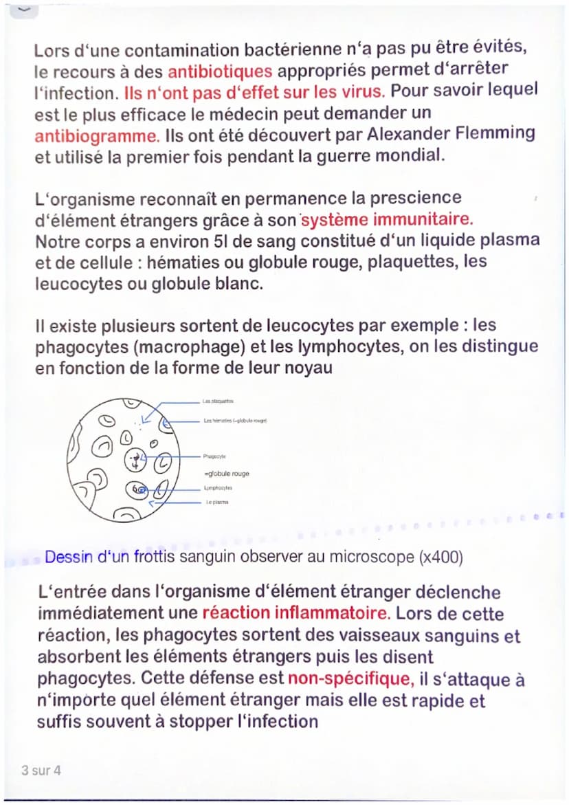 Chapitre 1: le monde microbien et sa santé
Certains microorganismes sont présents dans notre corps et
aident au bon fonctionnement de notre 