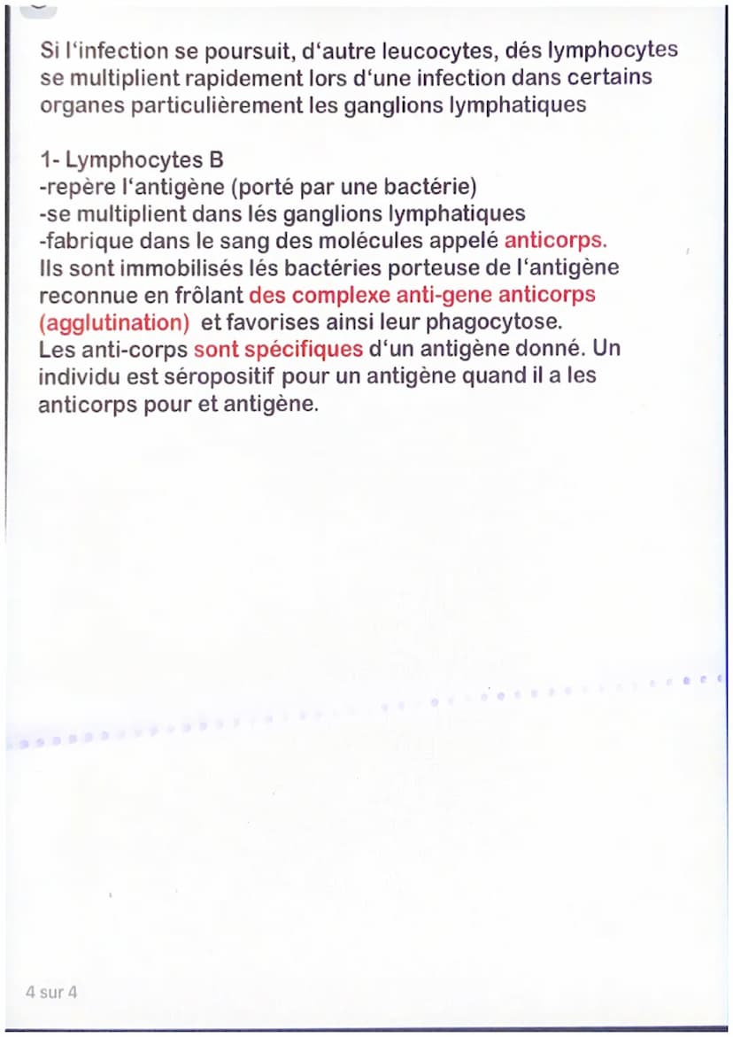 Chapitre 1: le monde microbien et sa santé
Certains microorganismes sont présents dans notre corps et
aident au bon fonctionnement de notre 