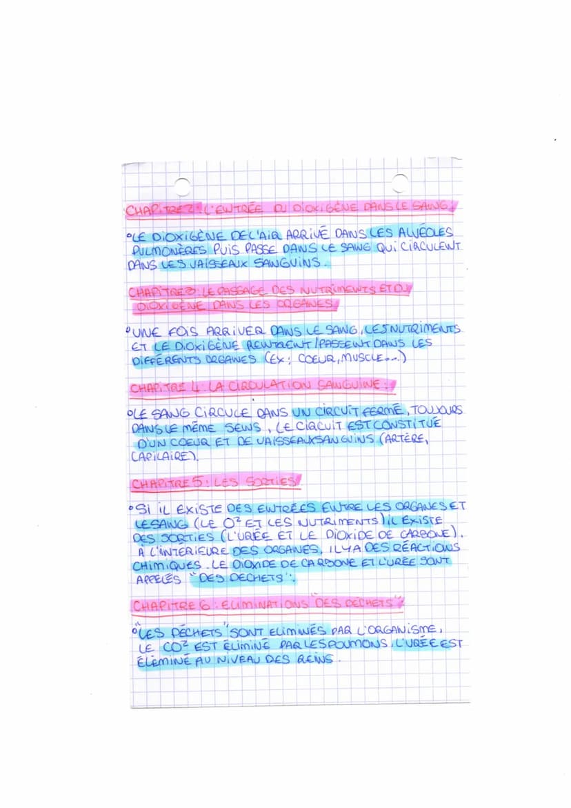 S.N.T 5°
THEME 3
CHAPITREA: FONCTIONNEMENT DE L'ORGANISME
LORS D'UN EFFORT MUSCULAIRE
• AU COURS D'UN EFFORT MUSCULAIRE, NOTRE
ORGANISME SUB