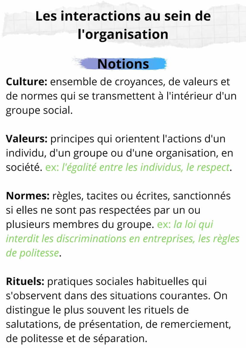Sciences de Gestion et du
Numérique
Notions et Formules Les interactions au sein de
l'organisation
Notions
Culture: ensemble de croyances, d