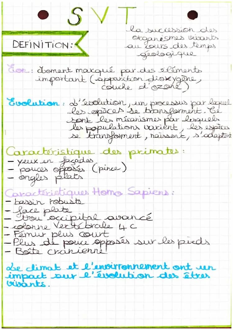 Know La succession des organismes vivants au cours des temps géologiques  thumbnail