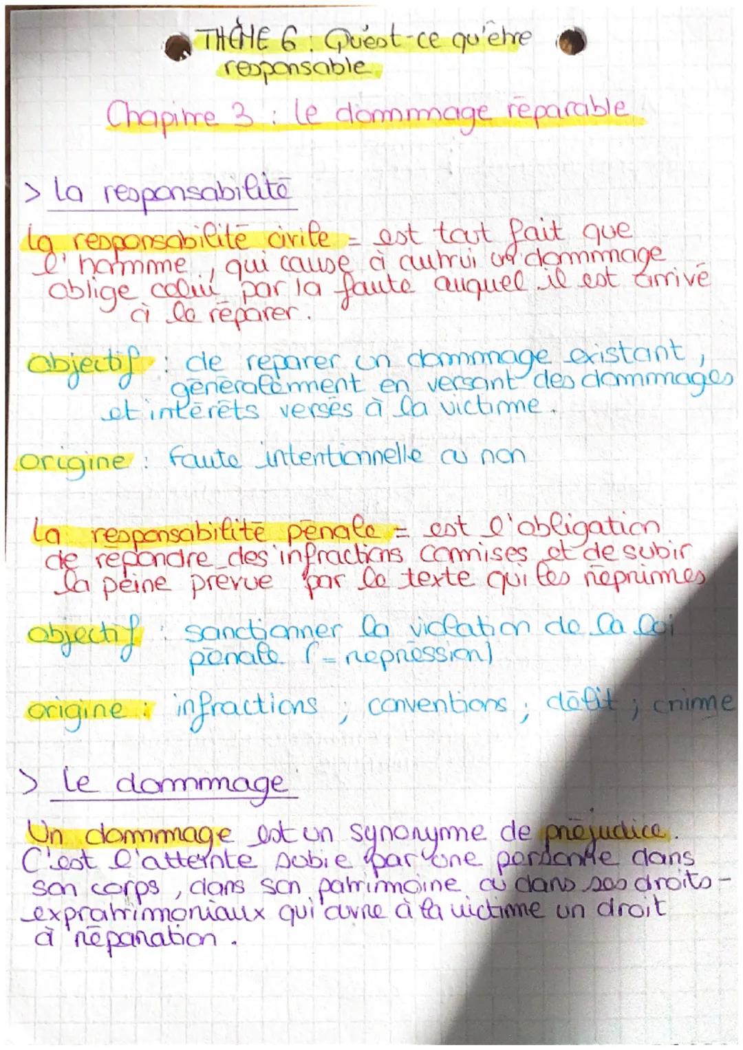 Chapitre 3: Le dommage réparable 