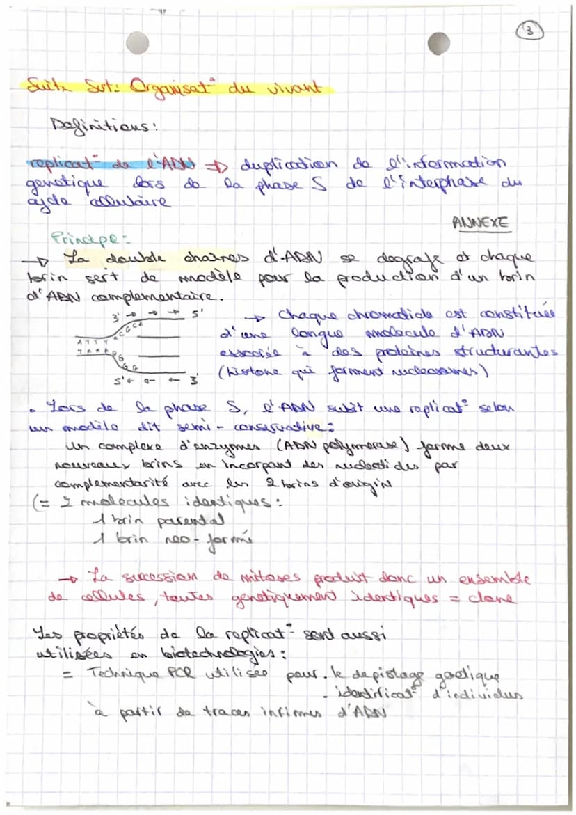 Sut: Organisation du vivant
Definitions:
collute white
fonctionnell de
metabolisume I division
de l'energie
dont
deer
- photographie de
dipl
