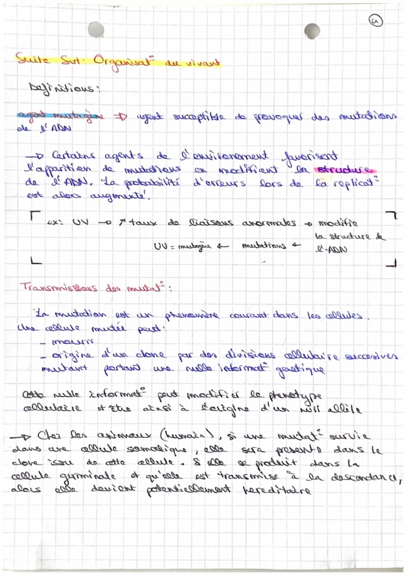 Sut: Organisation du vivant
Definitions:
collute white
fonctionnell de
metabolisume I division
de l'energie
dont
deer
- photographie de
dipl