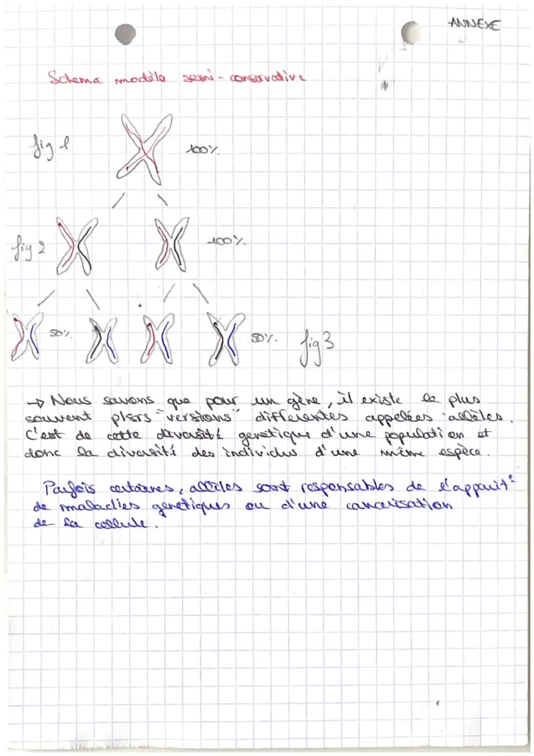 Sut: Organisation du vivant
Definitions:
collute white
fonctionnell de
metabolisume I division
de l'energie
dont
deer
- photographie de
dipl