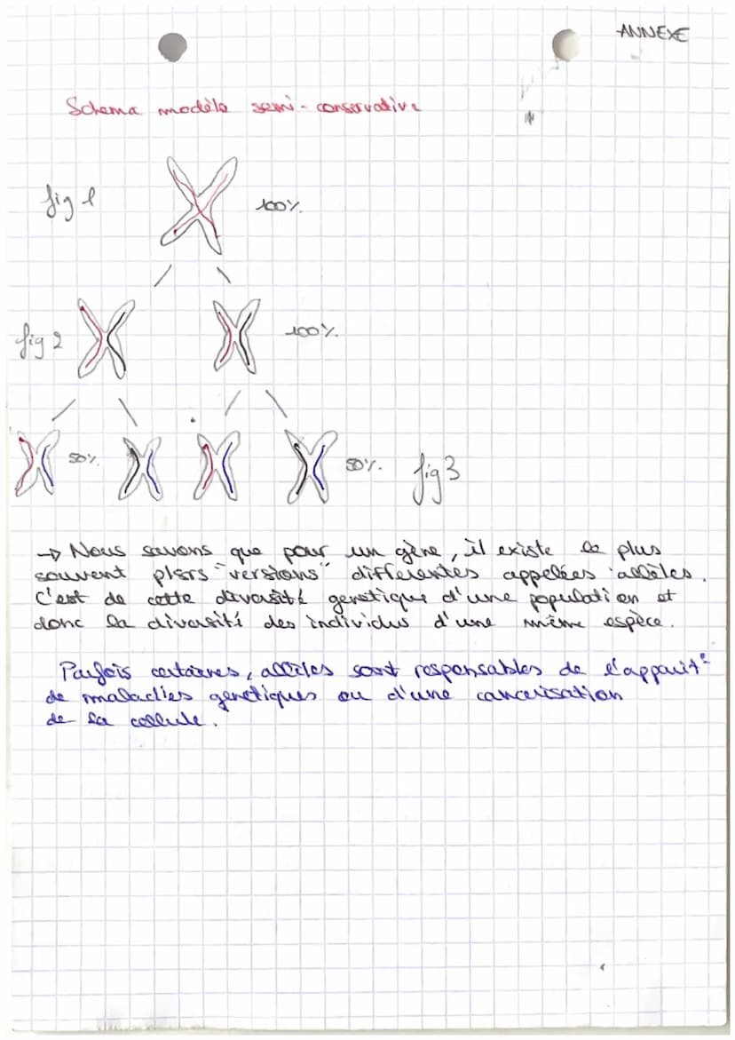 Sut: Organisation du vivant
Definitions:
collute white
fonctionnell de
metabolisume I division
de l'energie
dont
deer
- photographie de
dipl