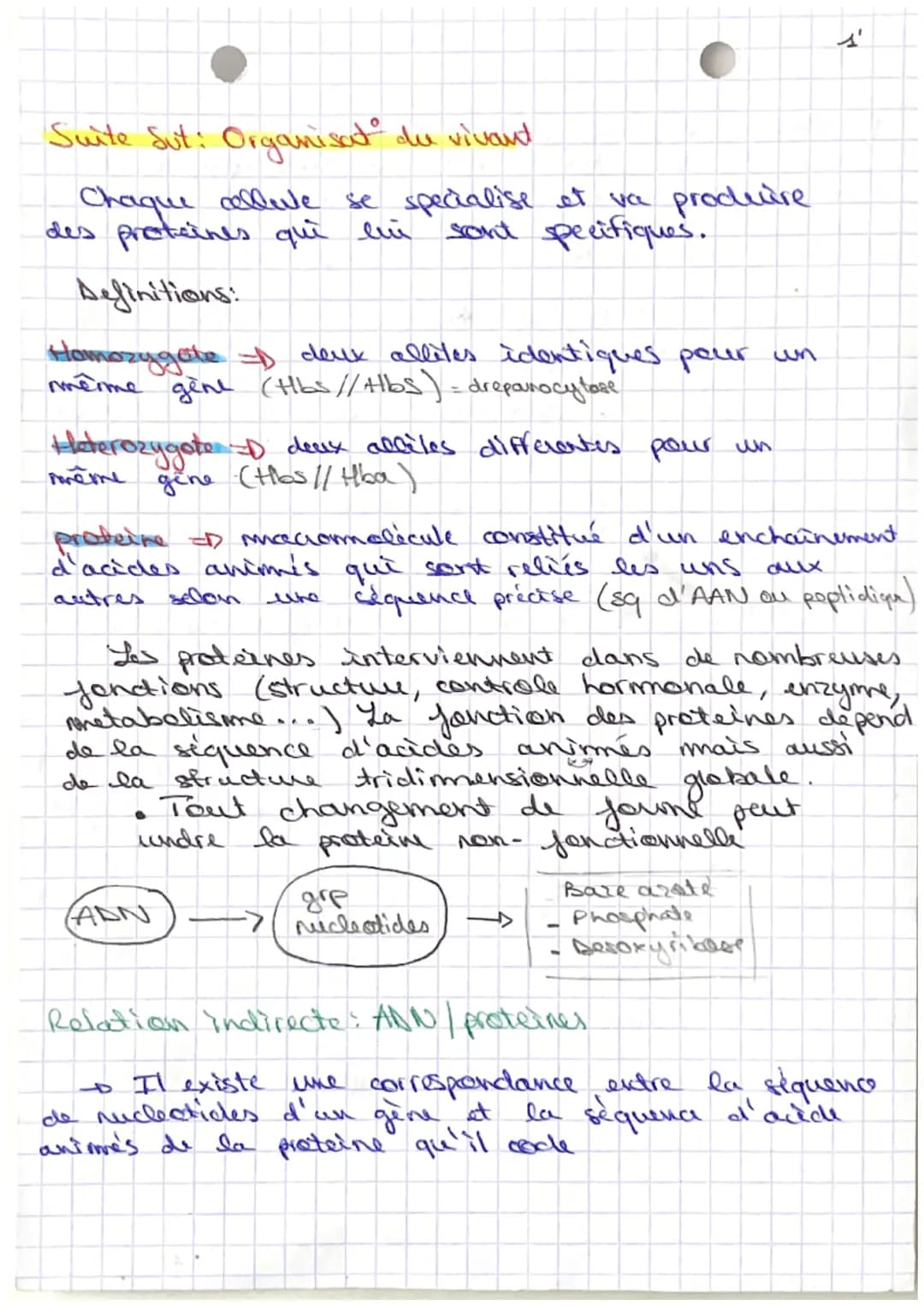 Sut: Organisation du vivant
Definitions:
collute white
fonctionnell de
metabolisume I division
de l'energie
dont
deer
- photographie de
dipl