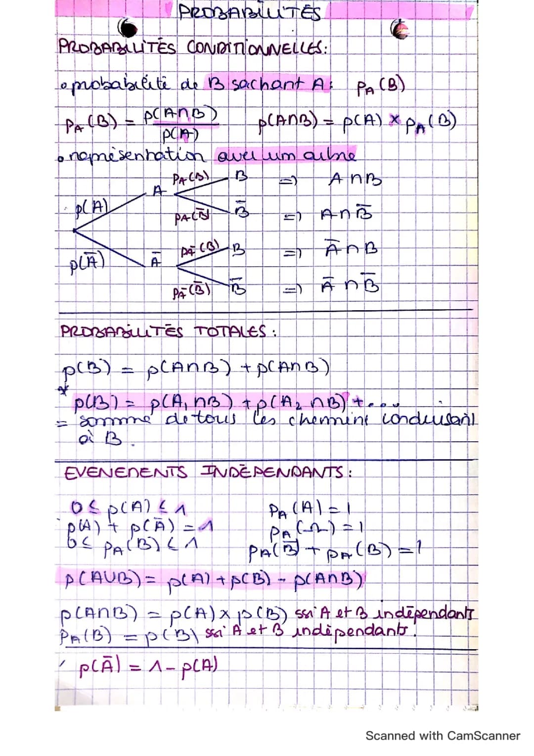 Découvre les Probabilités : Exercices et Formules Amusantes!