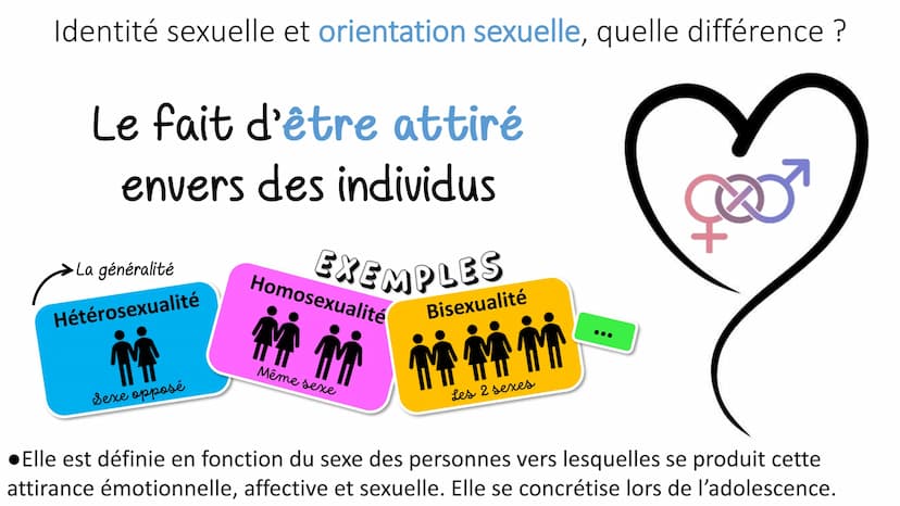 désirs
La sexualité humaine
Sexe
attirance
Emotions Sensations Identité sexuelle et orientation sexuelle, quelle différence ?
Le fait de se 