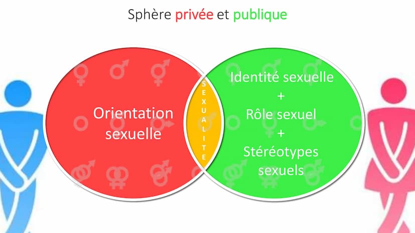 désirs
La sexualité humaine
Sexe
attirance
Emotions Sensations Identité sexuelle et orientation sexuelle, quelle différence ?
Le fait de se 