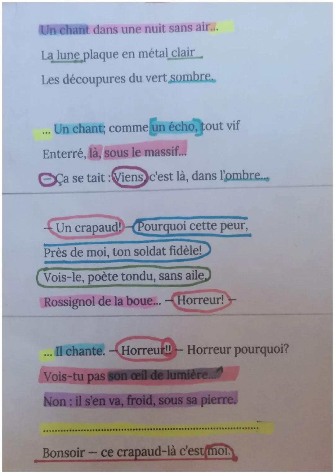 Un chant dans une nuit sans air...

La lune plaque en métal clair

Les découpures du vert sombre.

... Un chant; comme un écho, tout vif

En