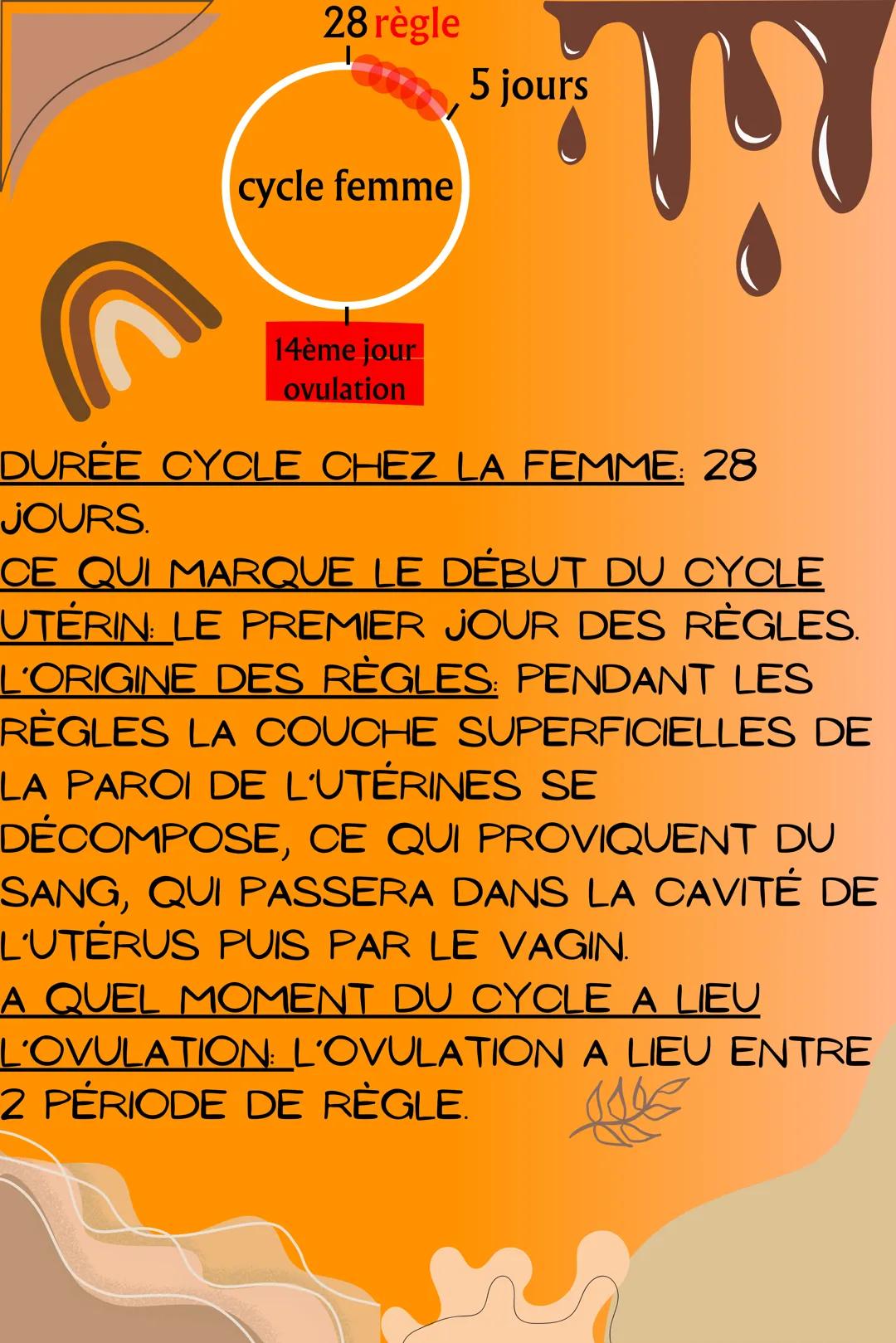 # SVT

CARACTÈRE SEXUEL SECONDAIRE
-DÉVELOPPEMENT DE LA POITRINE
-ÉLARGISSEMENT DU BASSIN
-LA CROISSANCE S'ACCÉLÈRE
-POILS
-LA MUE DE LA VOI